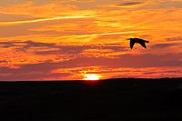 Coucher de soleil