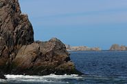 Le crieur de Twillingate