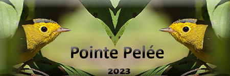 Pointe-Pelée 2023