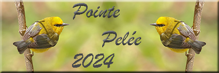 Pointe-Pelée 2023 width=
