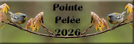 Pointe-Pelée 2026